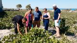 Wine tour at Argyros estate