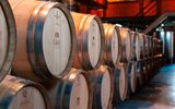 Oak barrels in Gaia winery