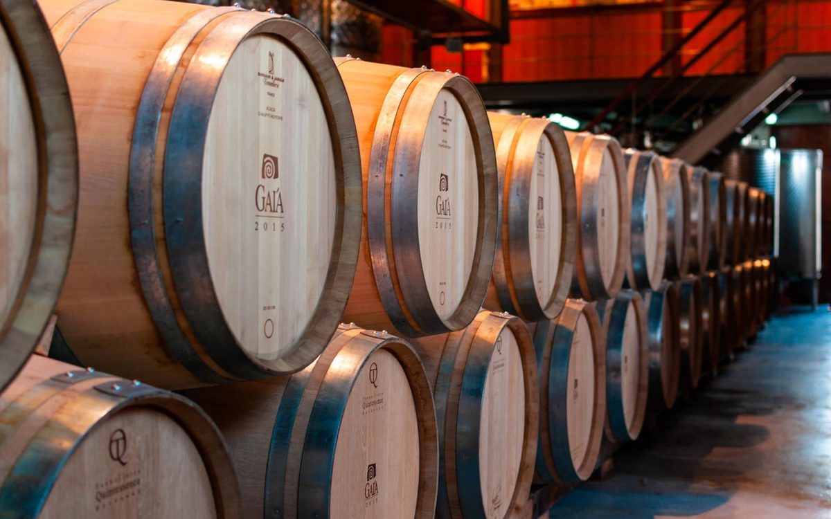 Oak barrels in Gaia winery