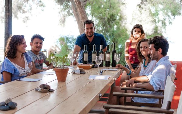 Wine tasting tour at Gaia winery in Santorini, Greece